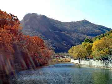 新澳天天开奖资料大全旅游团，马六油耗